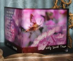 Canada wide CD Release “Really Small Town” on 4202020